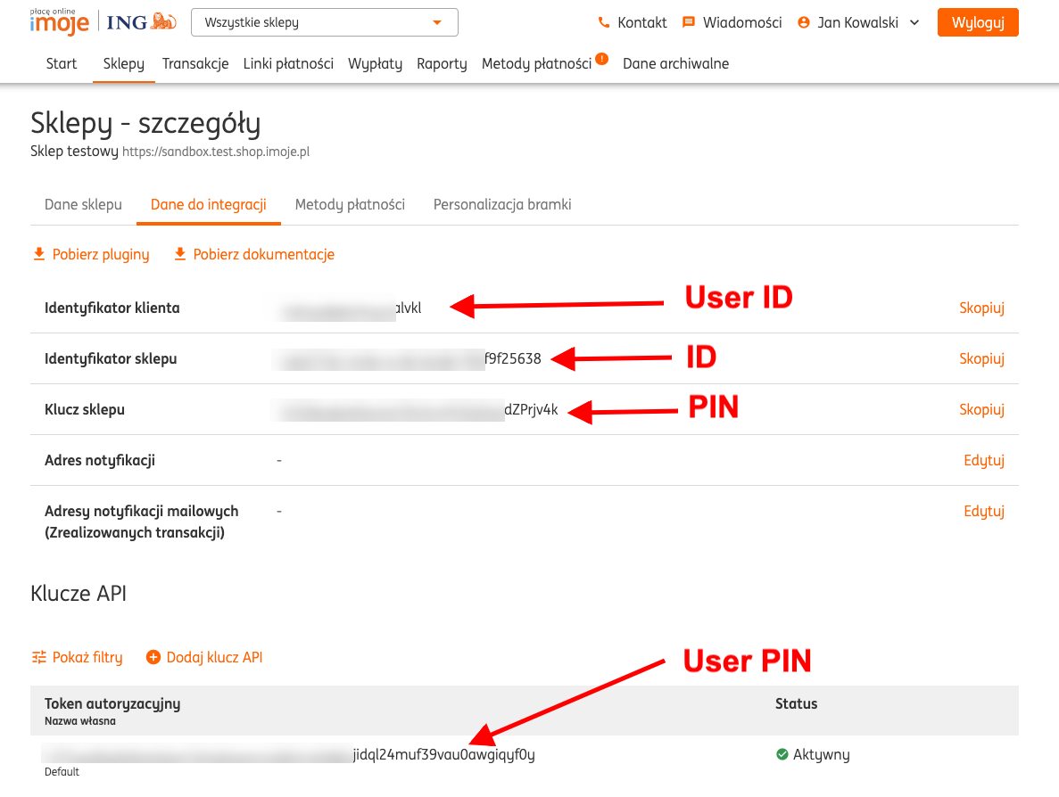 Where to find the relevant data in the ING Pay account